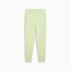 Зображення Puma Штани Essentials Logo Sweatpants Women #1: Green Illusion