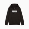 Изображение Puma Детское худи Essentials Logo Hoodie Youth #1: Puma Black