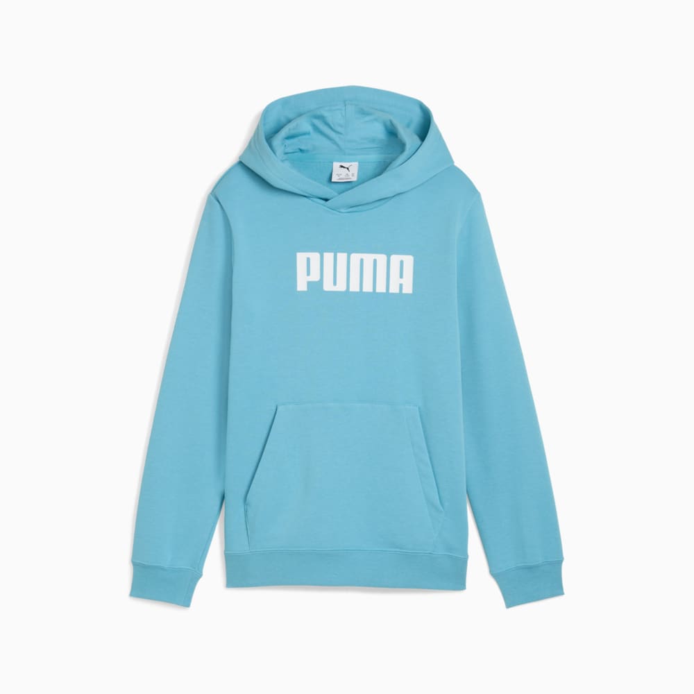 Изображение Puma Детское худи Essentials Logo Hoodie Youth #1: Dusty Aqua