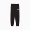 Изображение Puma Детские брюки Essentials Logo Sweatpants Men #1: Puma Black