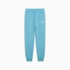 Зображення Puma Дитячі штани Essentials Logo Sweatpants Men #1: Dusty Aqua