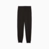 Изображение Puma Детские брюки Essentials Logo Sweatpants Youth #2: Puma Black