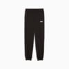 Изображение Puma Детские брюки Essentials Logo Sweatpants Youth #1: Puma Black