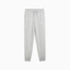 Зображення Puma Штани PUMA Sport Sweatpants Men #4: light gray heather