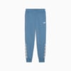 Зображення Puma Штани Tape Sweatpants Men #1: Deep Dive