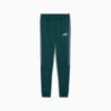 Изображение Puma Детские штаны Essentials Tape Sweatpants Youth #1: Green Terrain