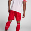 Image PUMA Shorts Red Bull Bragantino HOME 2025 #2