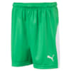 Изображение Puma 703433 #1: Bright Green-Puma White