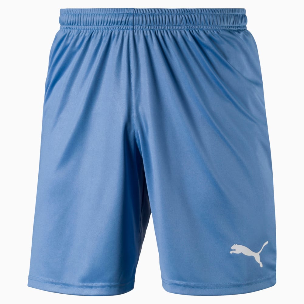 Puma liga shorts 2025