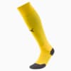 Зображення Puma Шкарпетки Liga Football Socks #1: Cyber Yellow-Puma Black