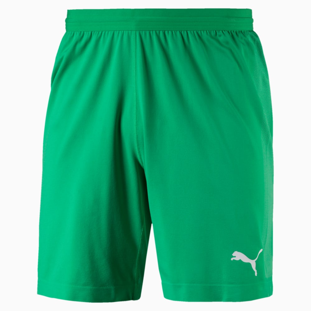 Puma evoknit football shorts shop mens