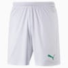 Зображення Puma Шорти LIGA Core Men’s Shorts with Brief #1: Puma White-Pepper Green