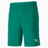 Зображення Puma Шорти teamFINAL Knit Men’s Shorts #3: Pepper Green