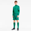 Зображення Puma Шорти teamFINAL Knit Men’s Shorts #4: Pepper Green