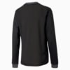 Изображение Puma Детский лонгслив GOAL Long Sleeve Kids’ Jersey #2: Puma Black-Asphalt