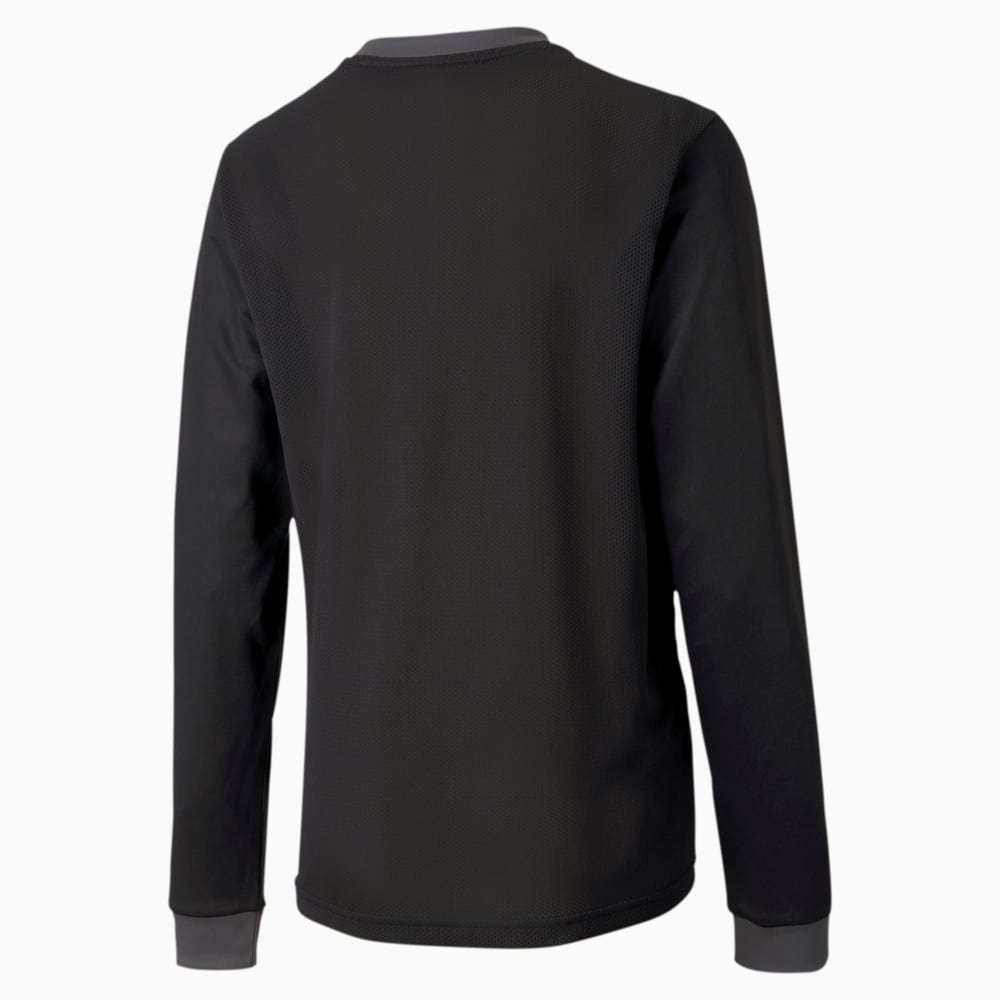 Изображение Puma Детский лонгслив GOAL Long Sleeve Kids’ Jersey #2: Puma Black-Asphalt