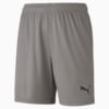 Изображение Puma Детские шорты teamGOAL 23 knit Shorts Jr #1: Steel Gray