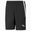 Image Puma teamLIGA Men's Football Shorts #1