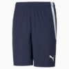 Image Puma teamLIGA Men's Football Shorts #1