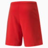 Image PUMA Shorts teamRISE Masculino #2