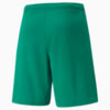 Image PUMA Shorts teamRISE Masculino #2