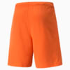 Image PUMA Shorts teamRISE Masculino #2