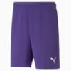 Image PUMA Shorts teamRISE Masculino #1