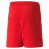 Image Puma teamRISE Youth Football Shorts #2