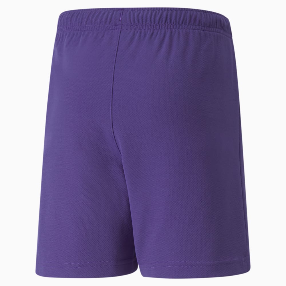 Image PUMA Shorts teamRISE Juvenil #2