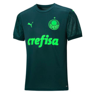 Colecao Palmeiras Puma Diretoria, porém, vê negócio como muito difícil; puma