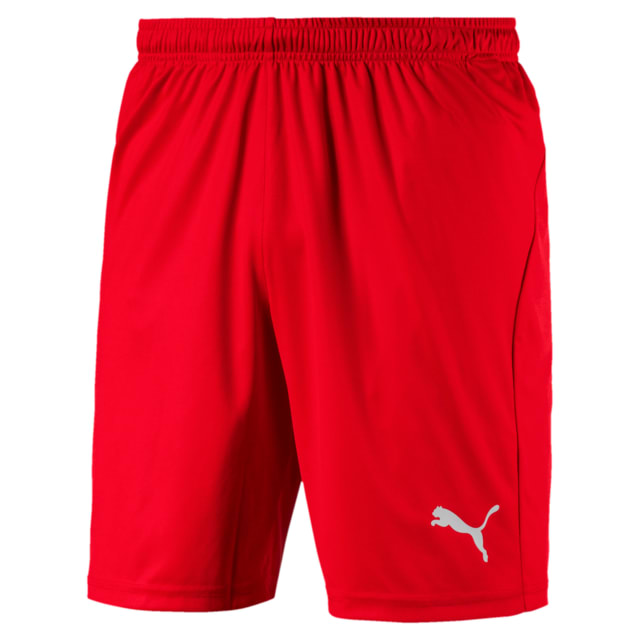 Image PUMA Shorts Liga Masculino