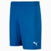 Image PUMA Shorts Liga Masculino #1