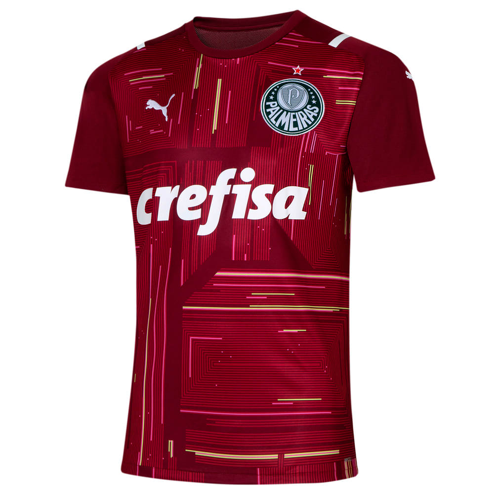 Camisa Palmeiras Goleiro III 2021 Masculina | Verde | PUMA