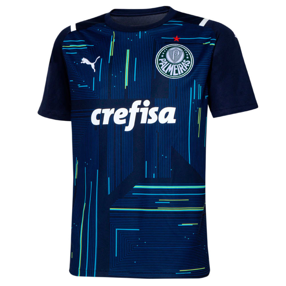 Camiseta palmeiras azul
