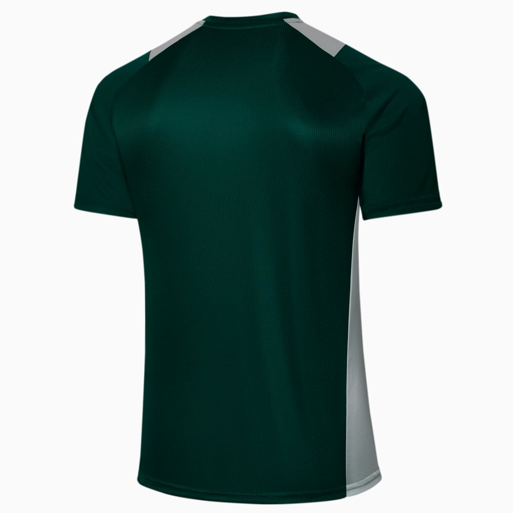 Image PUMA Camisa de Treino Palmeiras 2022 Masculina #2
