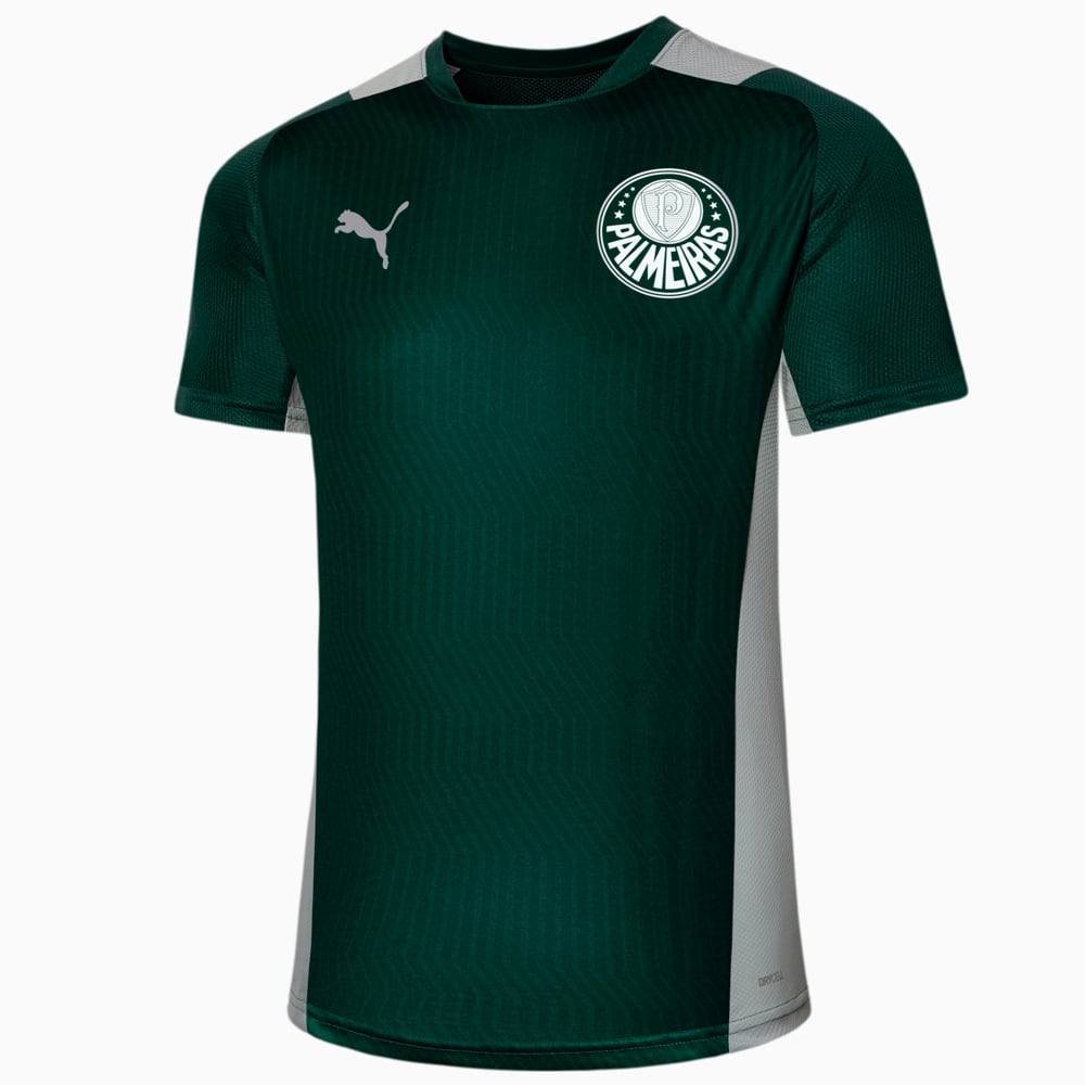 Image PUMA Camisa de Treino Palmeiras 2022 Masculina #1
