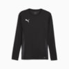 Зображення Puma Лонгслів teamGOAL Men's Long Sleeve Football Jersey #1: PUMA Black-PUMA White-Flat Dark Gray