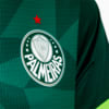 Image PUMA Camisa Palmeiras 2023 Jogador Home Feminina #12