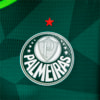 Image PUMA Camisa Palmeiras Jogador Home Feminina #13