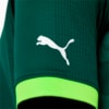 Image PUMA Camisa Palmeiras 2023 Jogador Home Feminina #3