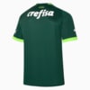 Image PUMA Camisa Palmeiras Jogador Home #11