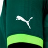 Image PUMA Camisa Palmeiras Jogador Home #3
