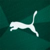 Image PUMA Camisa Palmeiras Jogador Home #7