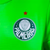 Image PUMA Palmeiras Jogador Goleiro Away Jersey #7