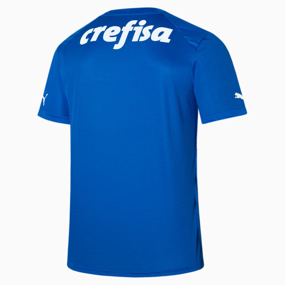 Camisa goleiro palmeiras puma on sale