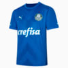 Image PUMA Camisa Palmeiras Jogador Goleiro Home #1