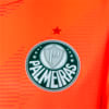 Image PUMA Palmeiras Jogador 2023 Goleiro Third Masculina #5