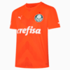 Image PUMA Palmeiras Jogador 2023 Goleiro Third Masculina #1