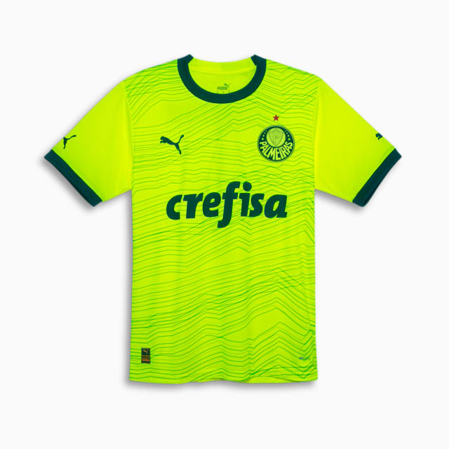 Image PUMA Camisa Palmeiras Jogador Third