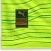 Image PUMA Camisa Palmeiras Jogador Third #9